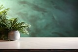 empty counter table top with potted plant