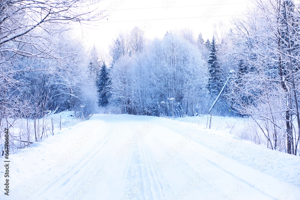 Obraz premium The forest is covered with snow. Frost and snowfall in the park. Winter snowy frosty landscape.