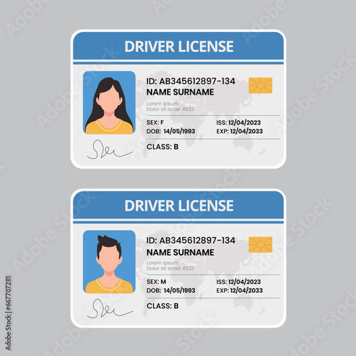Car driver license with photo isolated. Identification card. Vector stock