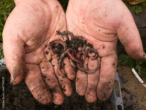 Slika na platnu Earthbound Hands: Embracing Nature's Grubby Wonders