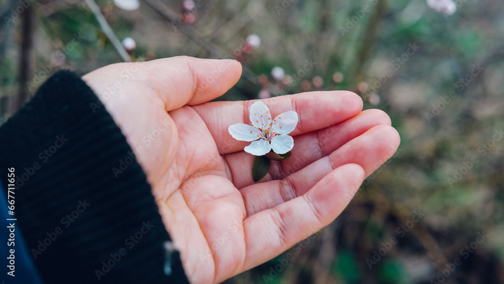 Little spring in my hand Little spring in my hand