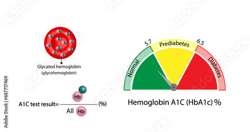 Hemoglobin A1C, HbA1c test , HbA1c levels, Glucose sticks to hemoglobin, glycated hemoglobin, up to 120 days. A1C Blood Sugar Test, Diabetes Mellitus, Infographic, Vector illustration.