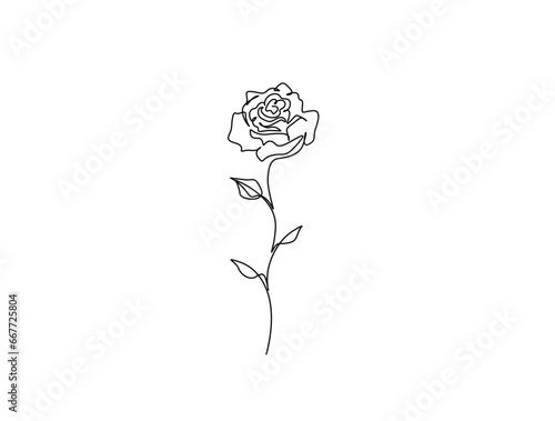 Continuous one line drawing of rose flower. Rose flower outline vector illustration.