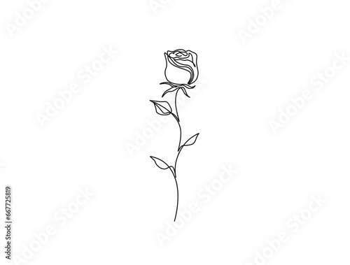 Continuous one line drawing of rose flower. Rose flower outline vector illustration.