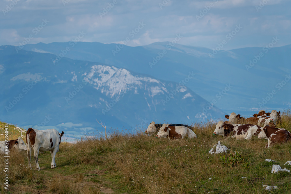 Grand Colombier, France 08 31 2021 Grand Colombier Pass. View of a