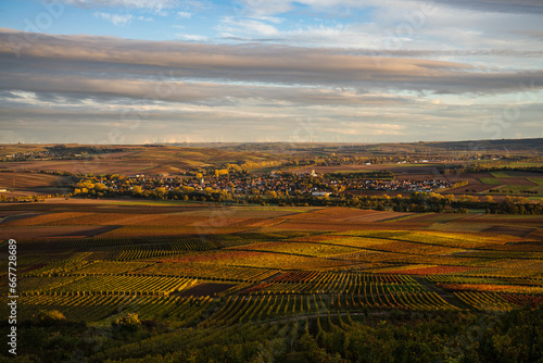 Blick vom Wißberg über die Weinberge nach Wallertheim im Oktober 2023 photo