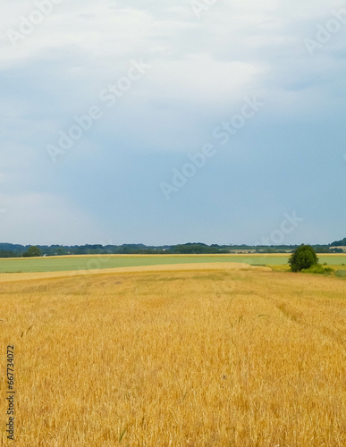 A field in Kashubia.