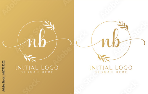 Letter NB Beauty Logo with Flourish Ornament