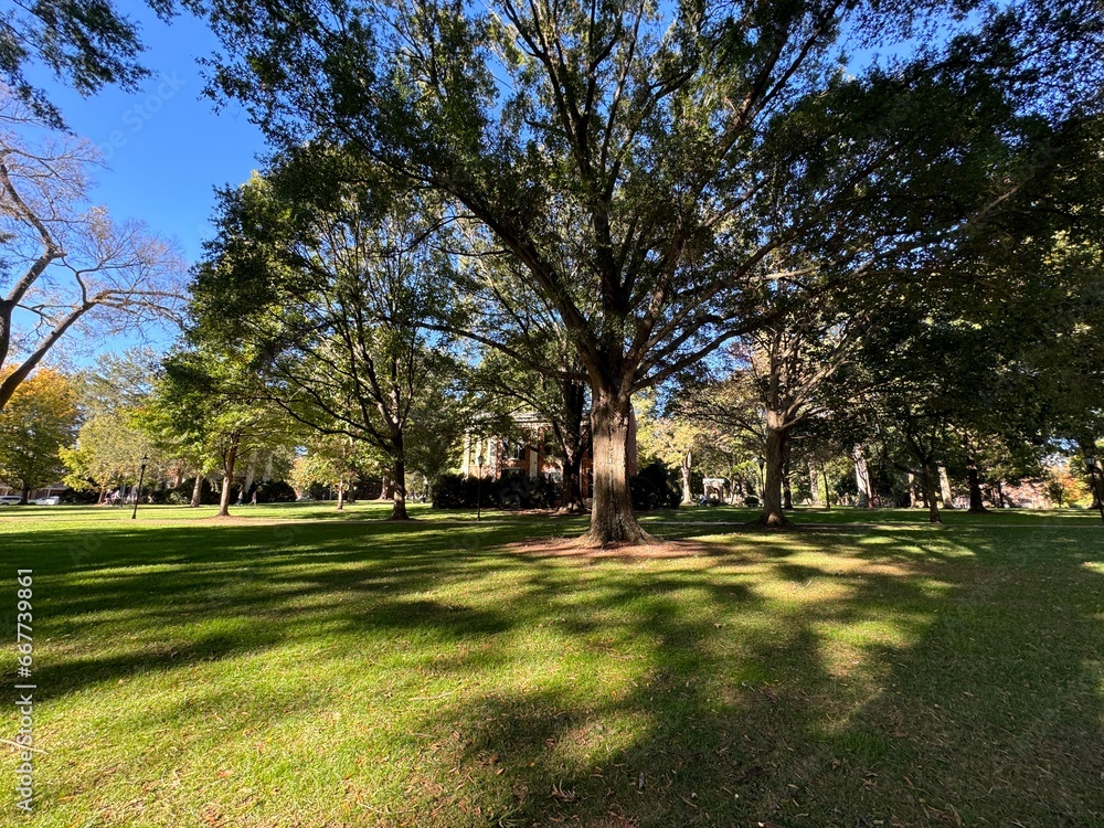 Obraz premium college