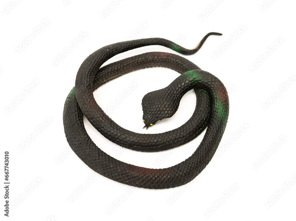 Fototapeta premium Fake snake toy. Simulation cobra made of rubber are used to for game or prank people and decorate scenes isolated on white background.