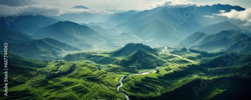 An aerial view of a vast and lush rice field, Generative AI photo
