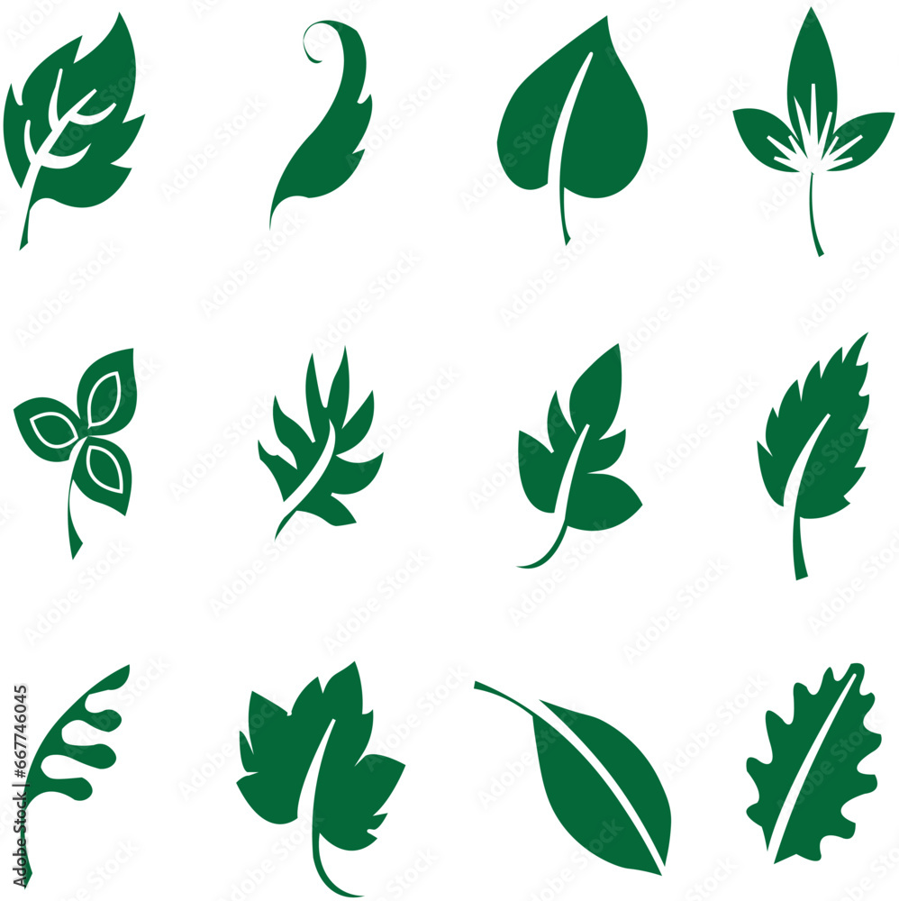 Leaf icon set. Fresh green leaves various shapes isolated on white background Leaf icon set. Fresh green leaves various shapes isolated on white background