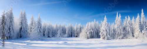 A majestic pine forest blanketed in a winter wonderland of snow © sandsun
