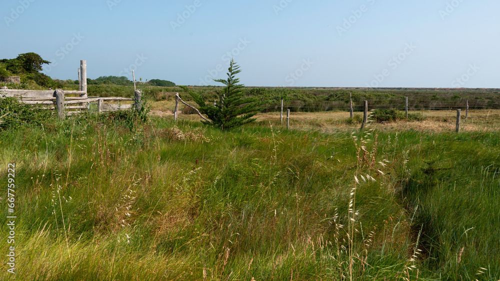 Fototapeta premium Polder de Sébastopol , Réserve naturelle, Ile de Noirmoutier, Vendée, 85, France