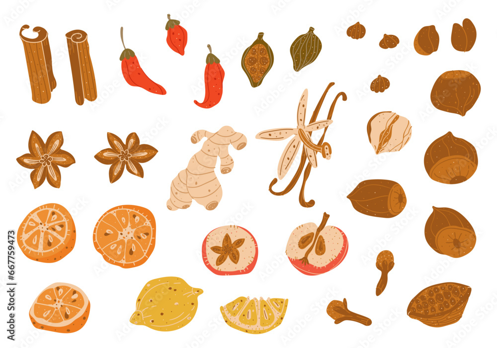 Spices ingredients food set