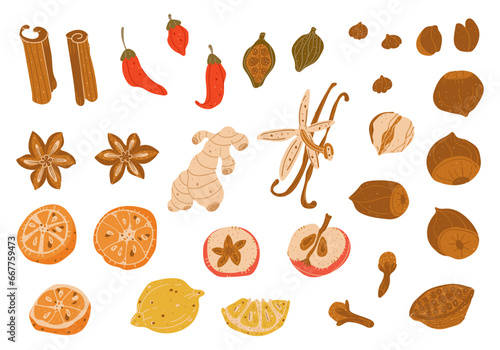 Spices ingredients food set