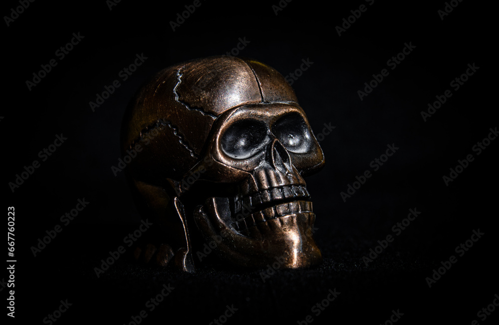 skull skull