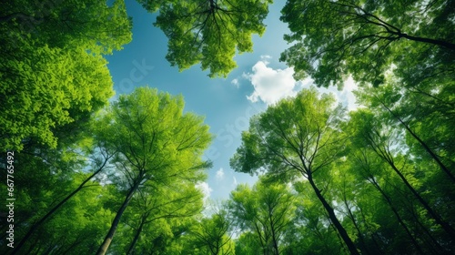 Looking up at the green tops of trees, Generative AI