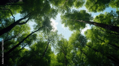 Looking up at the green tops of trees, Generative AI