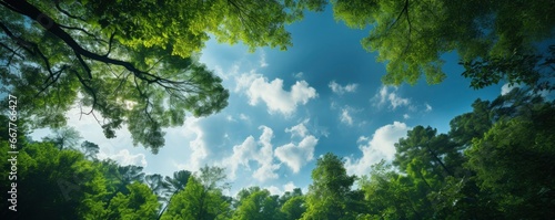 Looking up at the green tops of trees  Generative AI