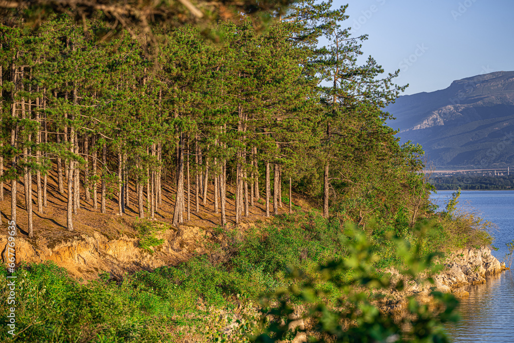 Fototapeta premium lake and forest