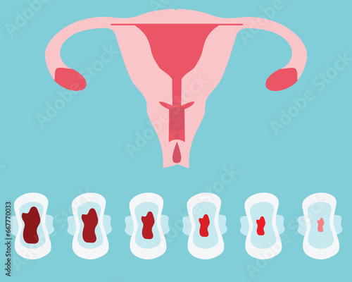 Heavy and Light Menstrual Period. Female Sanitary pad with Blood. Frequency and Periodicity of Menstrual Cycle icons. flat Vector illustration.