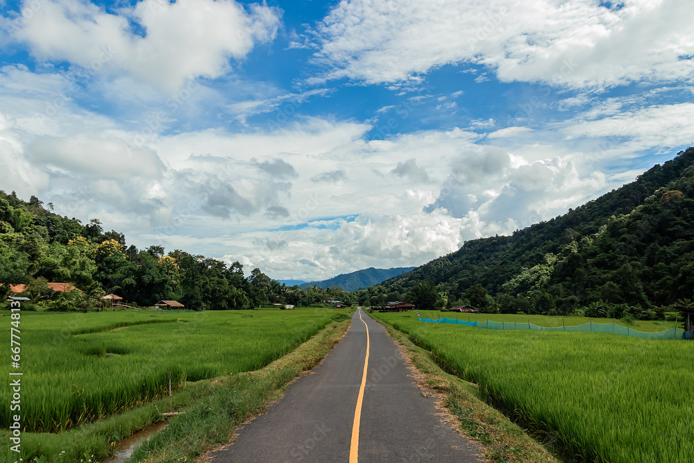 Country road or mountain middle road, Beautiful blue sky and cloud with green tree.