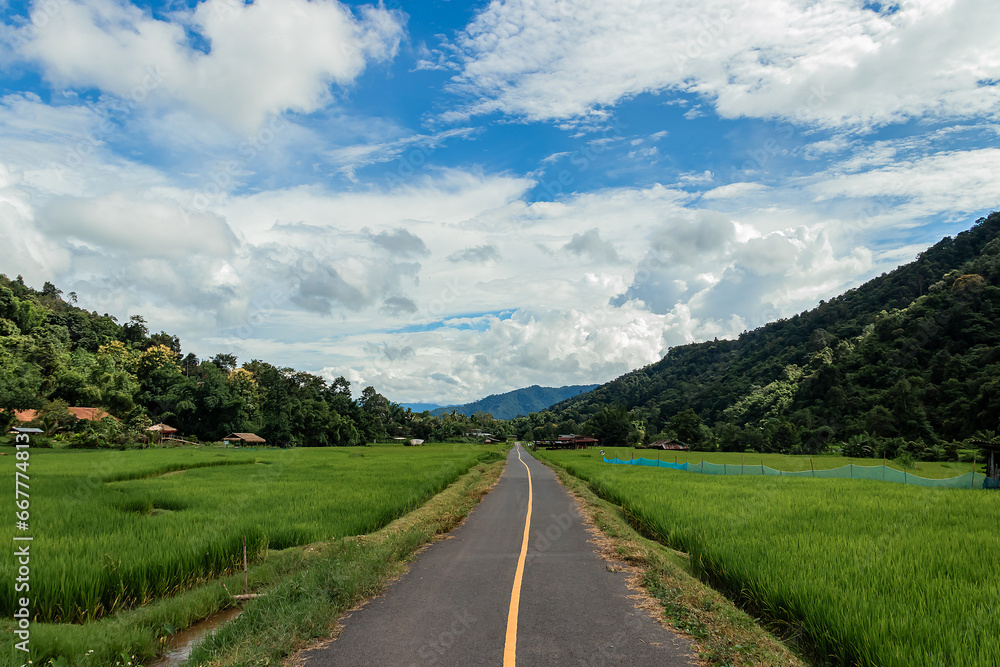 Country road or mountain middle road, Beautiful blue sky and cloud with green tree. Country road or mountain middle road, Beautiful blue sky and cloud with green tree.