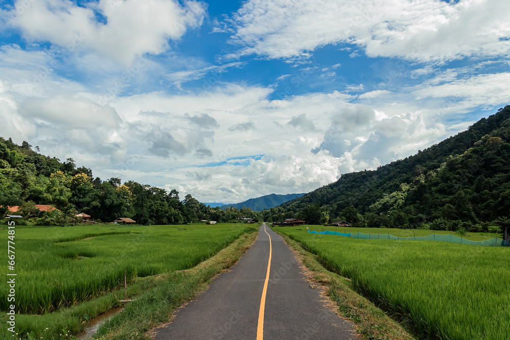 Country road or mountain middle road, Beautiful blue sky and cloud with green tree. Country road or mountain middle road, Beautiful blue sky and cloud with green tree.