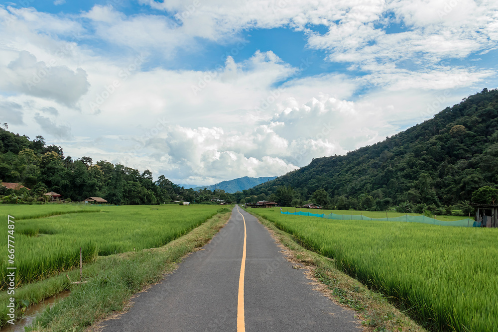 Country road or mountain middle road, Beautiful blue sky and cloud with green tree.