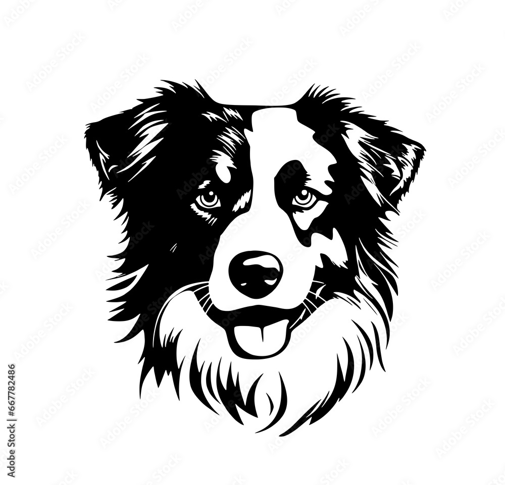 Vector isolated one single sitting Border Collie Australian Shepherd dog head front view black and white bw two colors silhouette. Template for laser engraving or stencil, print for t shirt Vector isolated one single sitting Border Collie Australian Shepherd dog head front view black and white bw two colors silhouette. Template for laser engraving or stencil, print for t shirt