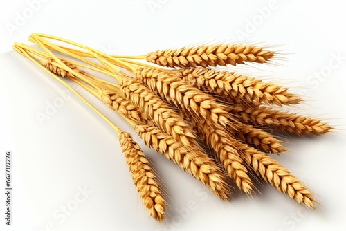 Wheat grains in isolation, set against a clean white backdrop