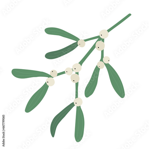 Mistletoe branch isolated on white background, vector illustration.