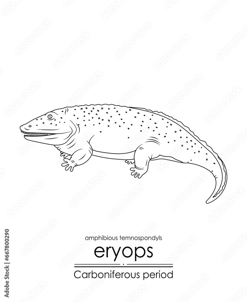 Eryops, an extinct, primitive, giant amphibian from the Carboniferous