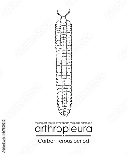 Arthropleura, the largest-known invertebrate, extinct creature from the Carboniferous Period, millipede arthropod, black and white line art illustration. Ideal for coloring and educational purposes