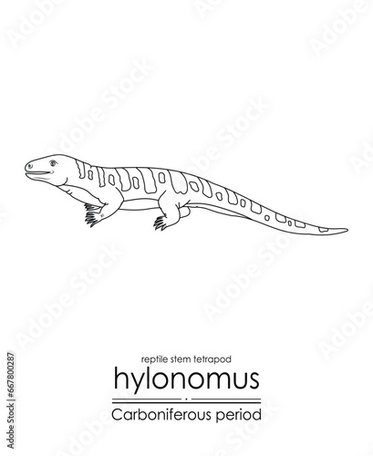 Hylonomus, the oldest reptile (stem tetrapod) without any doubt, creature from the Carboniferous Period, black and white line art illustration. Ideal for coloring and educational purposes