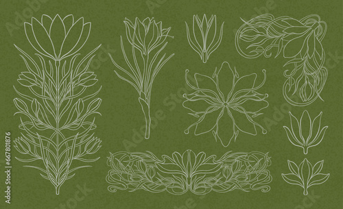 Floral crocus plant in art nouveau 1920-1930. Hand drawn crocus in a linear style with weaves of lines, leaves and flowers.