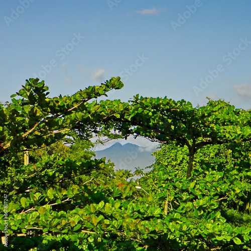 misty mountain peaks in the Serra do Mar, framed by the intertwined tops of verdant trees, under a sky with few clouds.