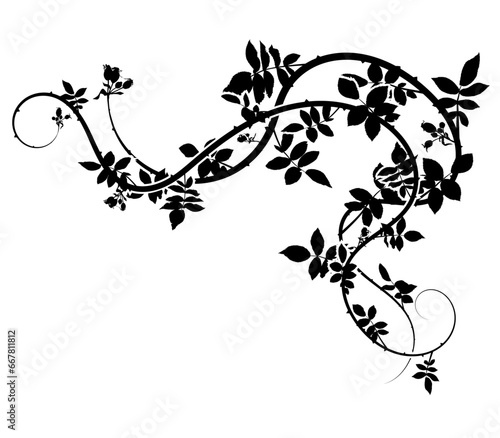 top corner climbing plant rose hips frame vector