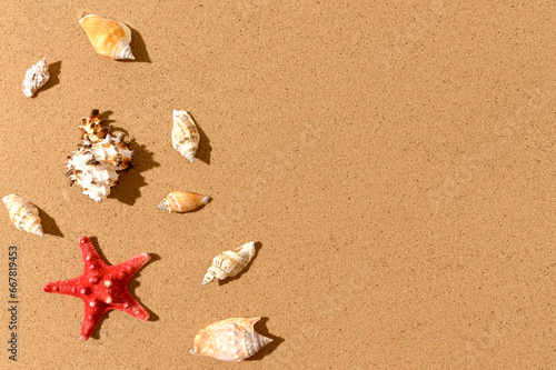 Red star, seashells on the sand. Place for text.