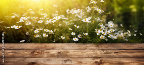 Empty rustic old wooden boards table copy space with chamomile flowers growing on a meadow background. Product display template. Generative AI