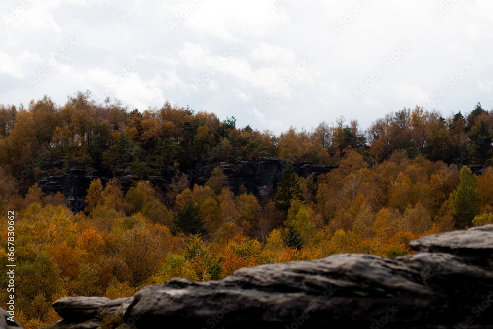 picturesque forest and mountains in autumn