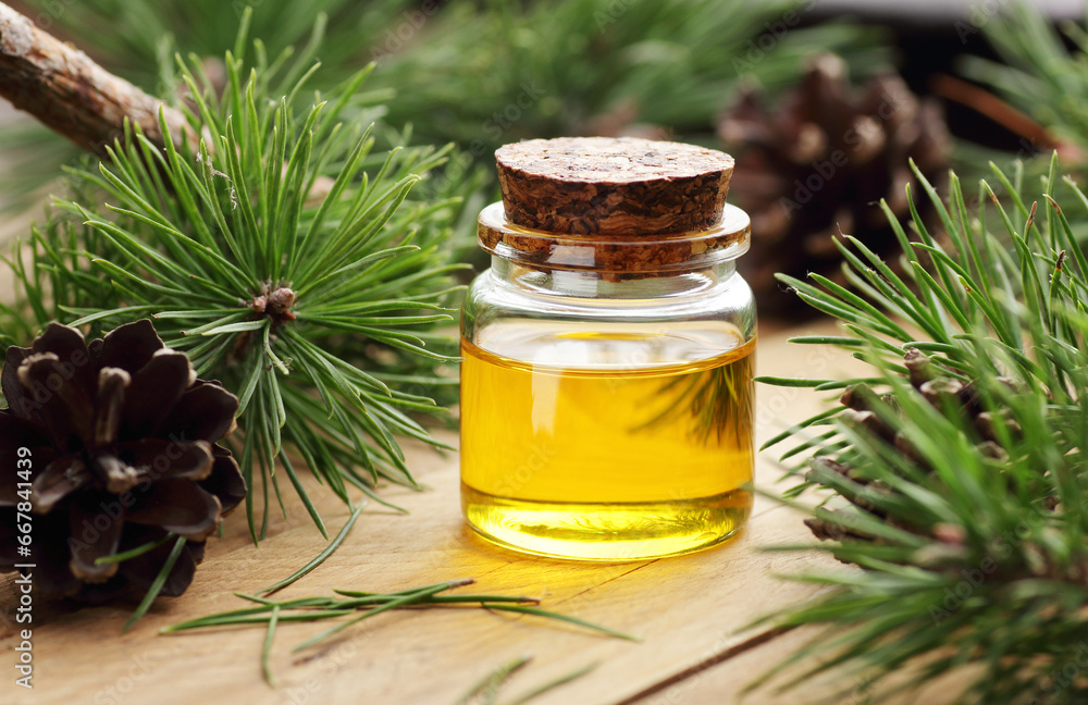 Pine essential oil or extract in glass bottle with pine wood tree spruce on wooden rustic background, copy space, green medicine, natural skin and hair care, aromatherapy concept Pine essential oil or extract in glass bottle with pine wood tree spruce on wooden rustic background, copy space, green medicine, natural skin and hair care, aromatherapy concept