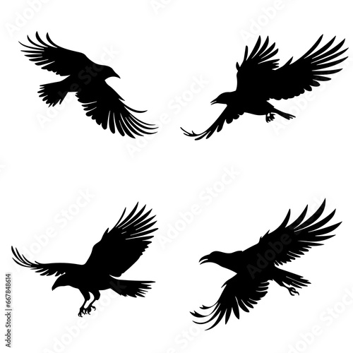 Crow silhouette, crow vector, crow illustration, crow png, crow svg, bird, silhouette, vector, animal, birds, illustration, nature, flying, wing, branch, wildlife, bullfinch, sparrow, tree, beak, crow