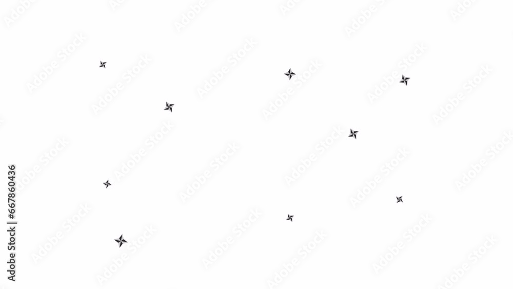 Stars blinking bw 2D object animation. Christmas eve twinkle lights outline cartoon 4K video, alpha channel. Sparkles bursting. Rotating star shapes animated element isolated on white background Stars blinking bw 2D object animation. Christmas eve twinkle lights outline cartoon 4K video, alpha channel. Sparkles bursting. Rotating star shapes animated element isolated on white background