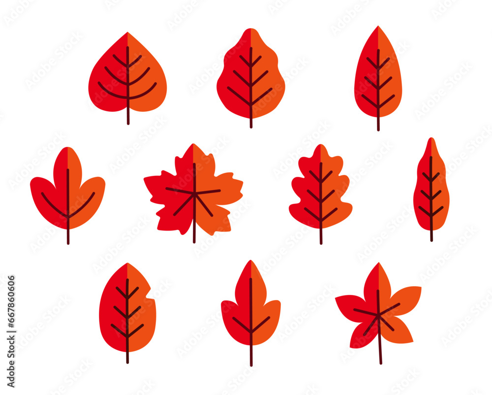 Autumn fall leaf orange red fallen leaves brown nature season halloween vector set graphic design illustration art maple canada two tone half color