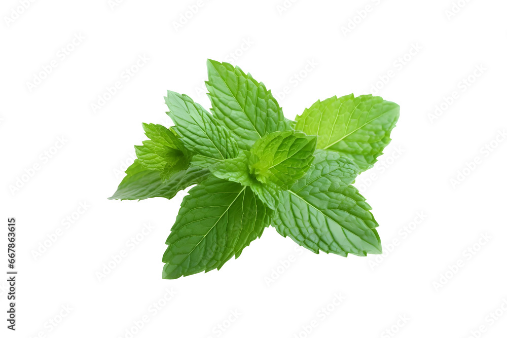 Fresh green mint leaves (PNG Cutout) isolated on a transparent background, AI Fresh green mint leaves (PNG Cutout) isolated on a transparent background, AI