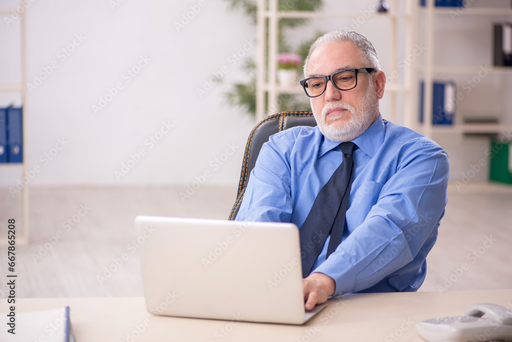 Old male employee working in the office Old male employee working in the office