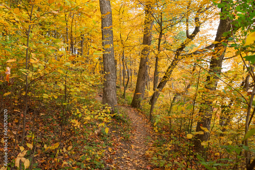 Bluff trail. Bluff trail.