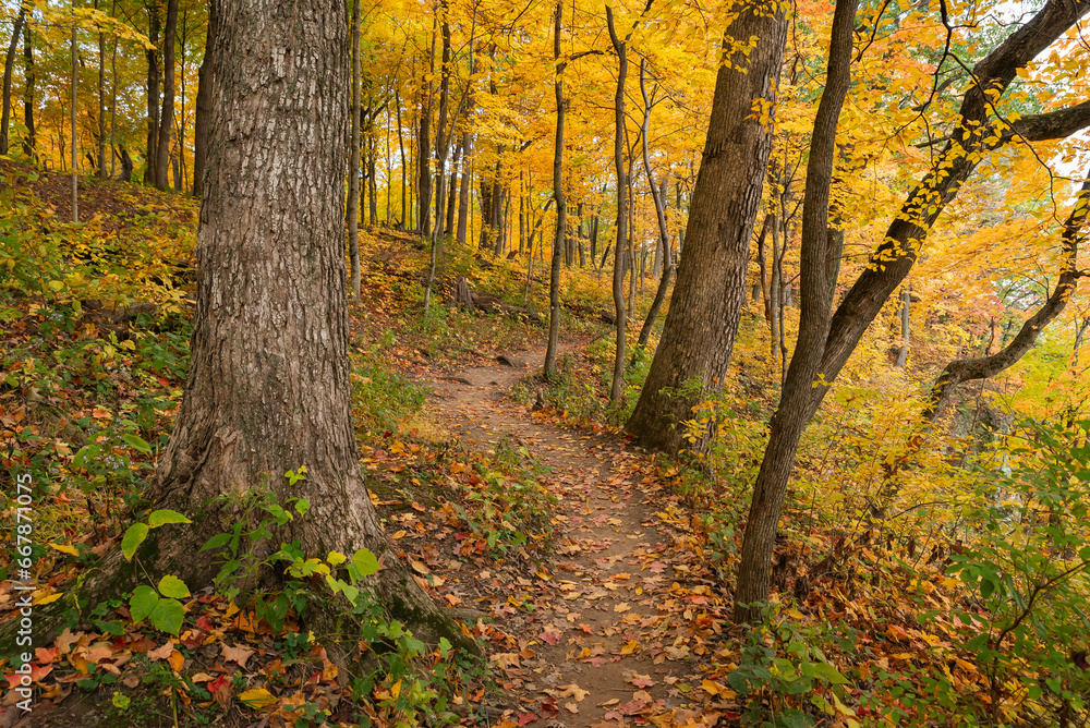 Obraz premium Bluff trail.